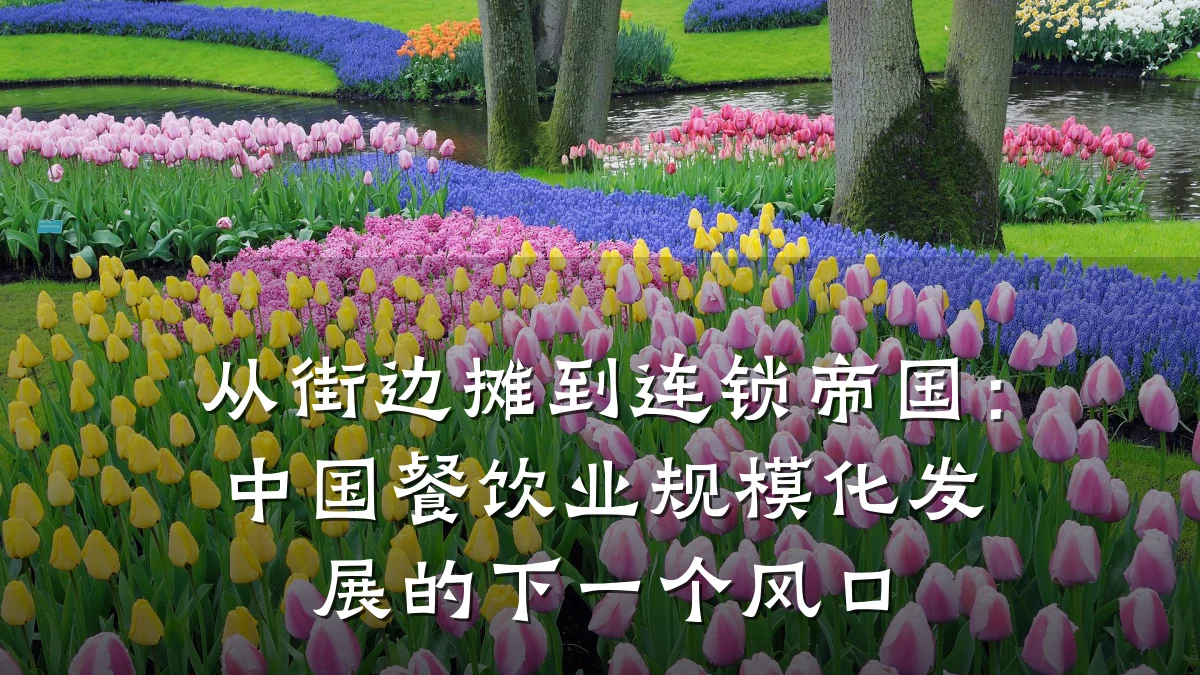 从街边摊到连锁帝国：中国餐饮业规模化发展的下一个风口