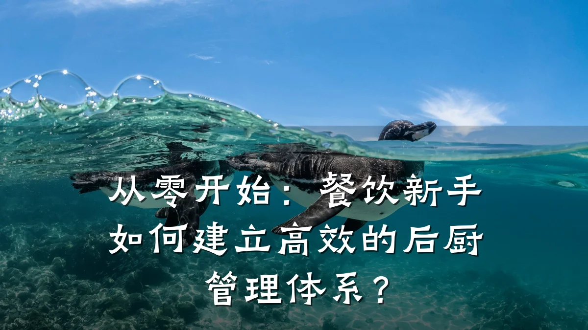 从零开始：餐饮新手如何建立高效的后厨管理体系？