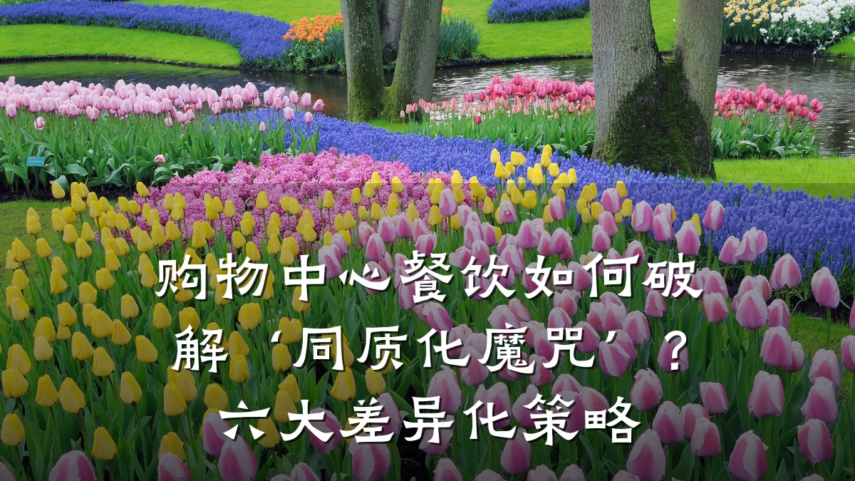 购物中心餐饮如何破解‘同质化魔咒’？六大差异化策略