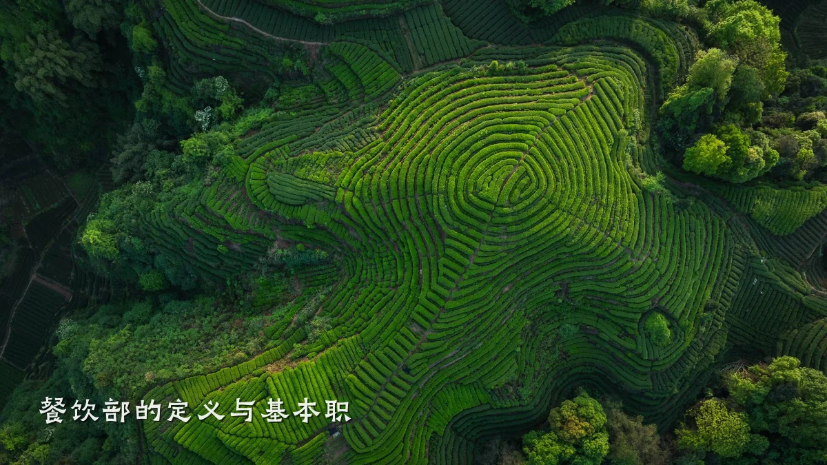 餐饮部的定义与基本职