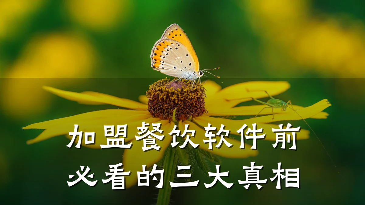 加盟餐饮软件前必看的三大真相