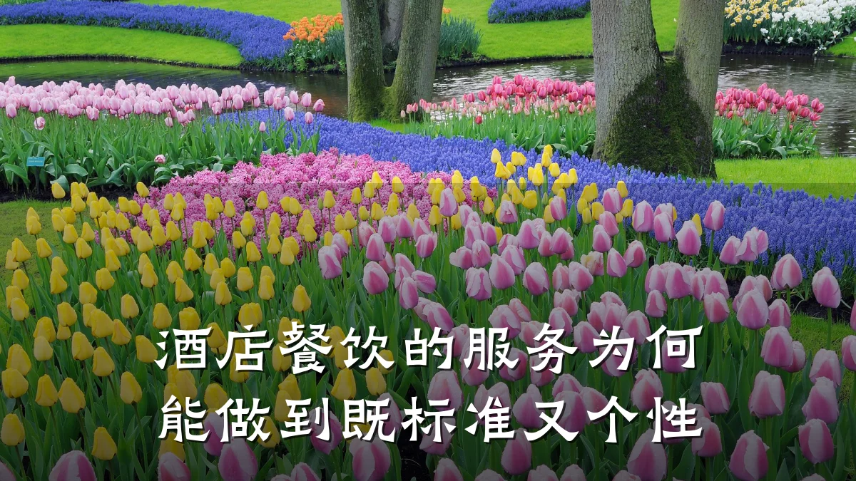 酒店餐饮的服务为何能做到既标准又个性