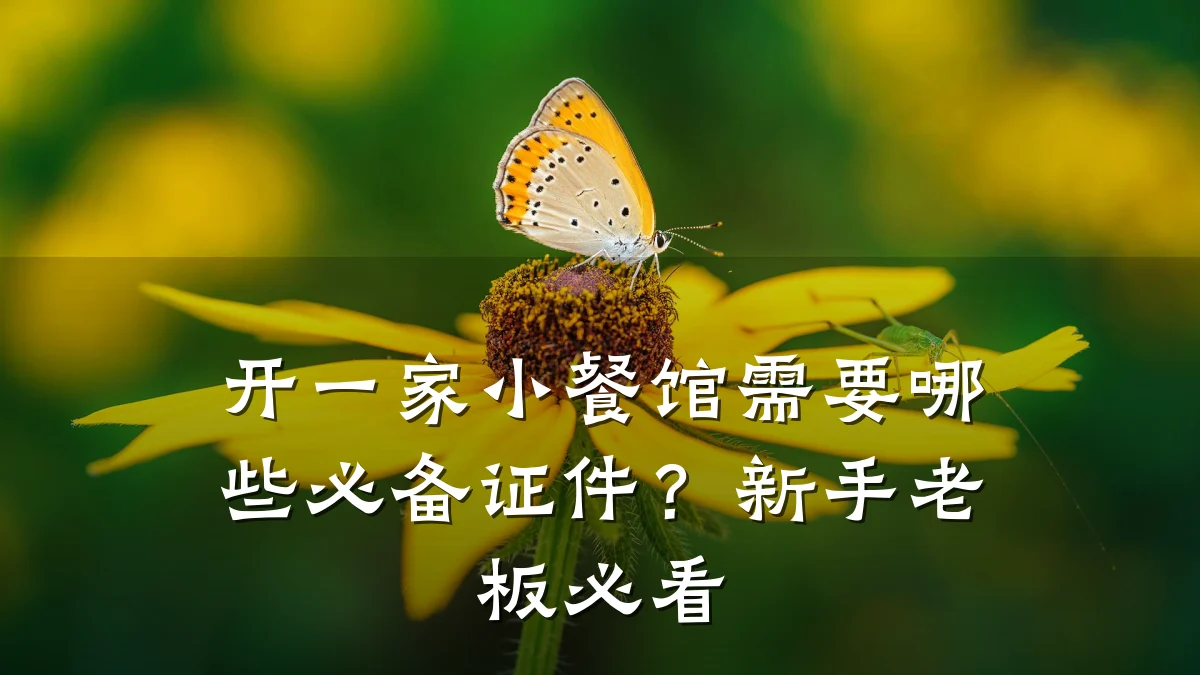 开一家小餐馆需要哪些必备证件？新手老板必看
