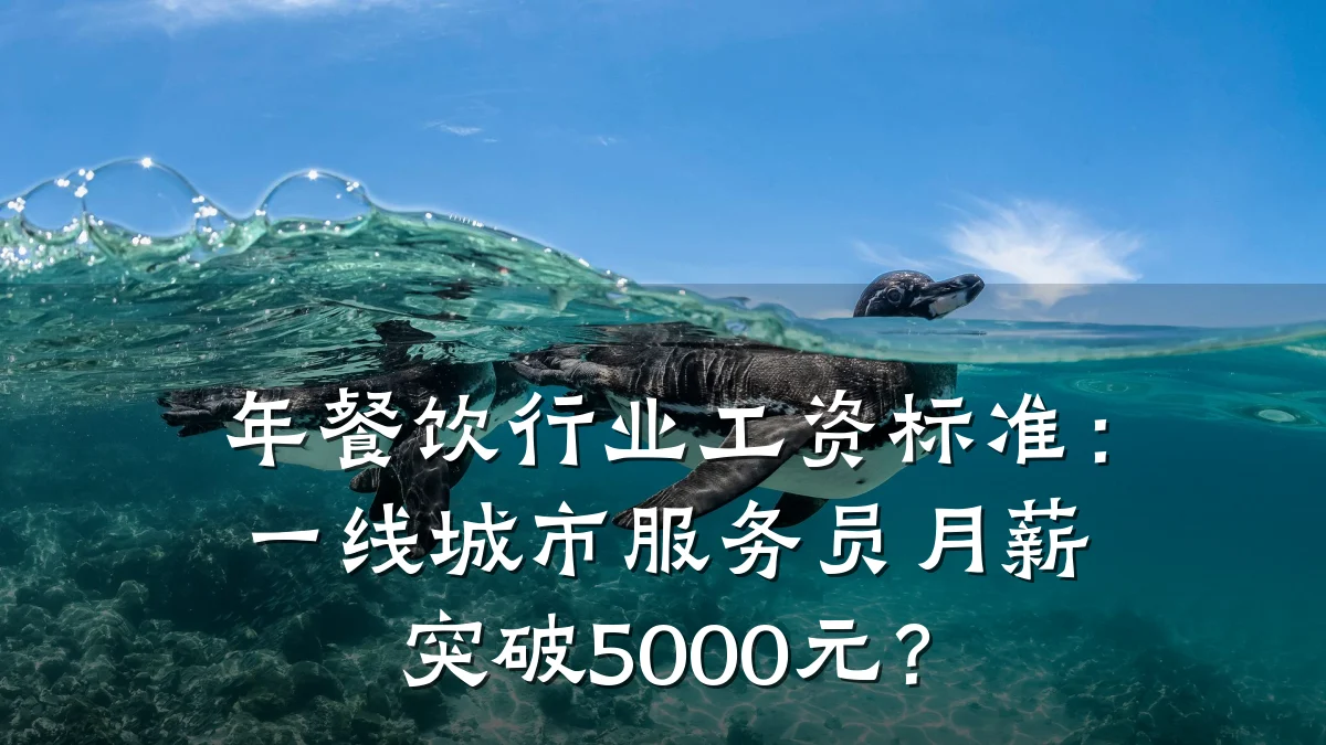 年餐饮行业工资标准：一线城市服务员月薪突破5000元？