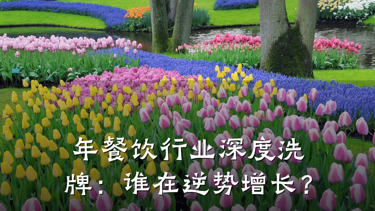 年餐饮行业深度洗牌：谁在逆势增长？