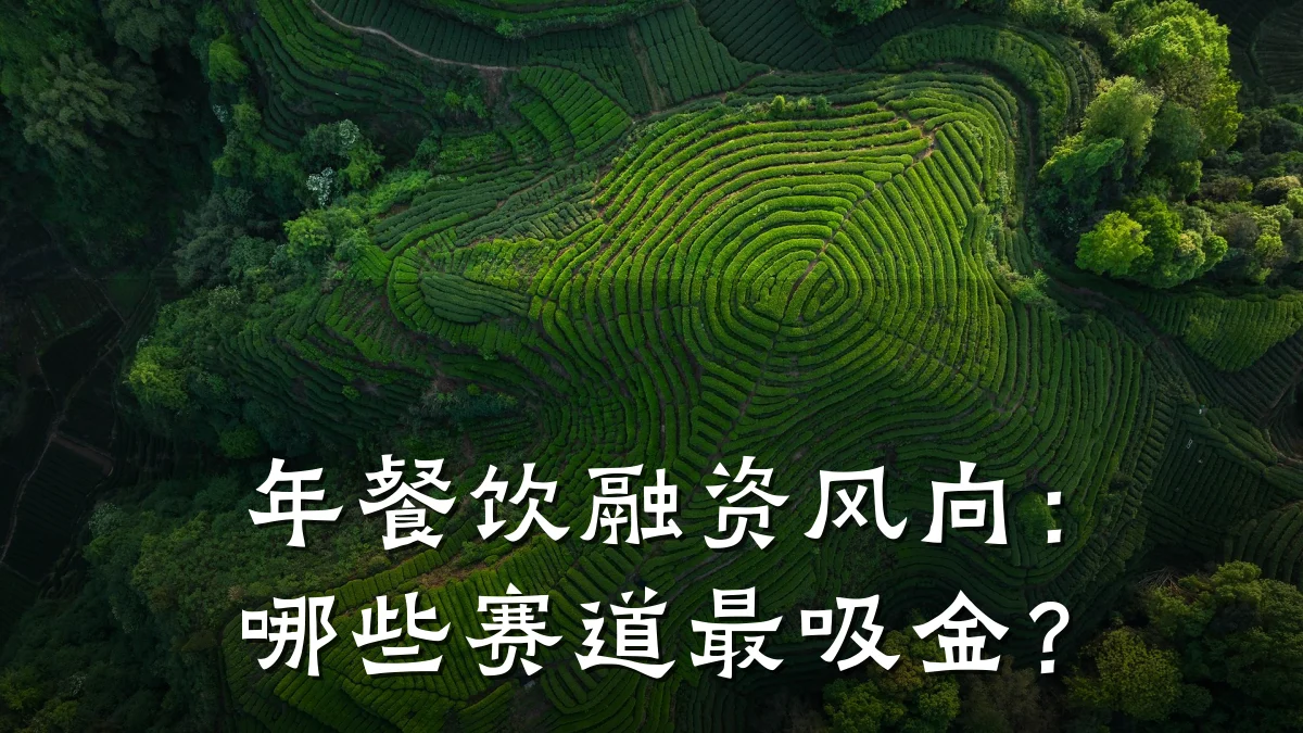 年餐饮融资风向：哪些赛道最吸金？