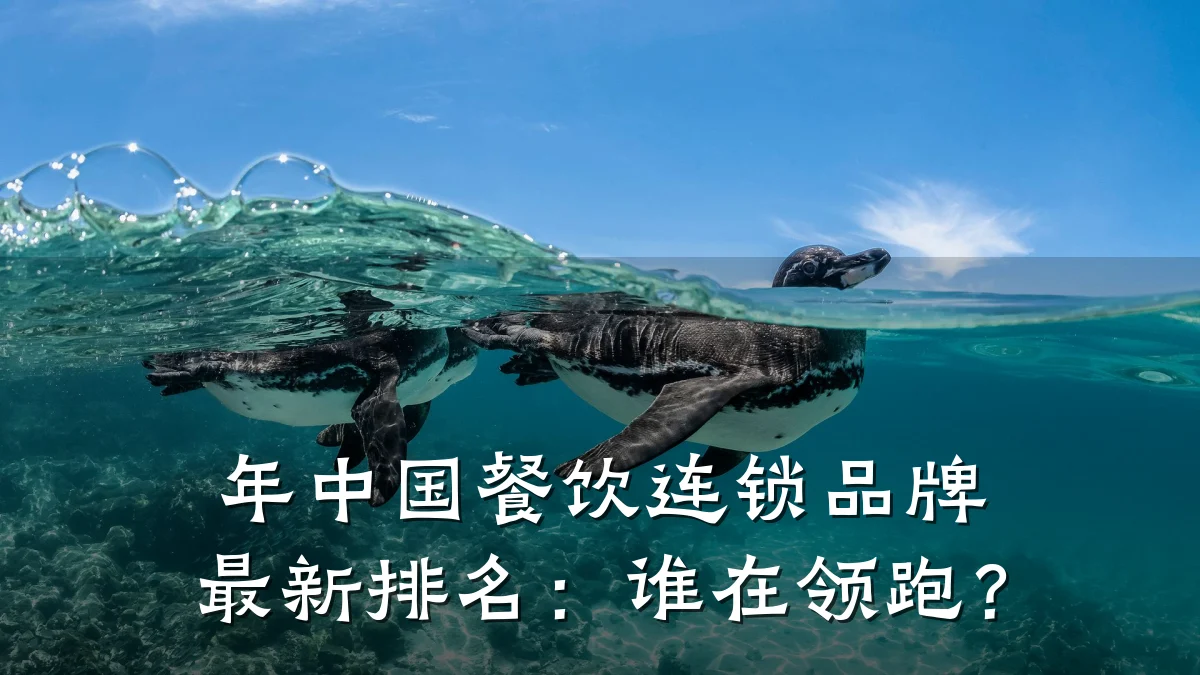 年中国餐饮连锁品牌最新排名：谁在领跑？