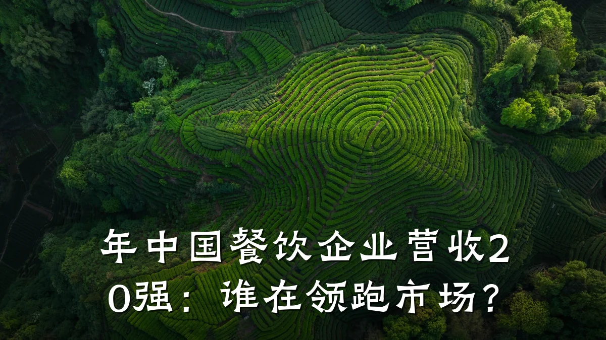 年中国餐饮企业营收20强：谁在领跑市场？
