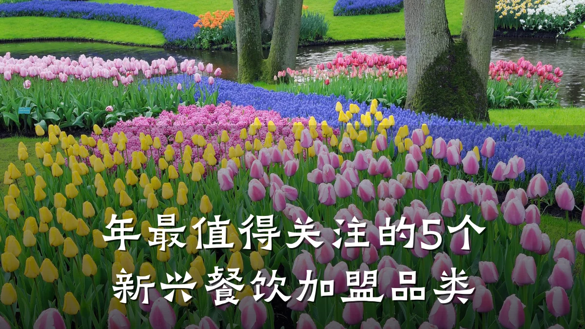 年最值得关注的5个新兴餐饮加盟品类