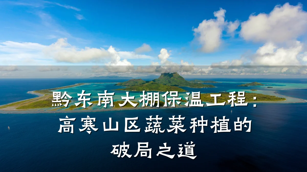 黔东南大棚保温工程:高寒山区蔬菜种植的破局之道