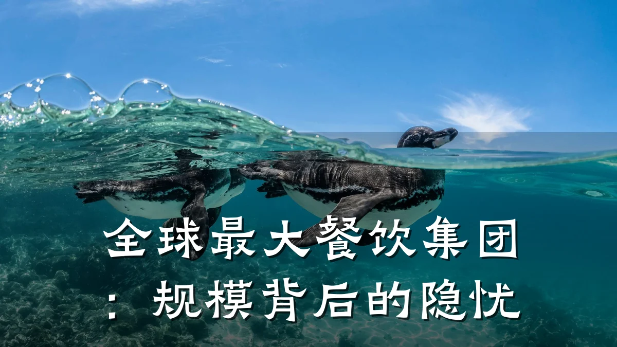 全球最大餐饮集团:规模背后的隐忧