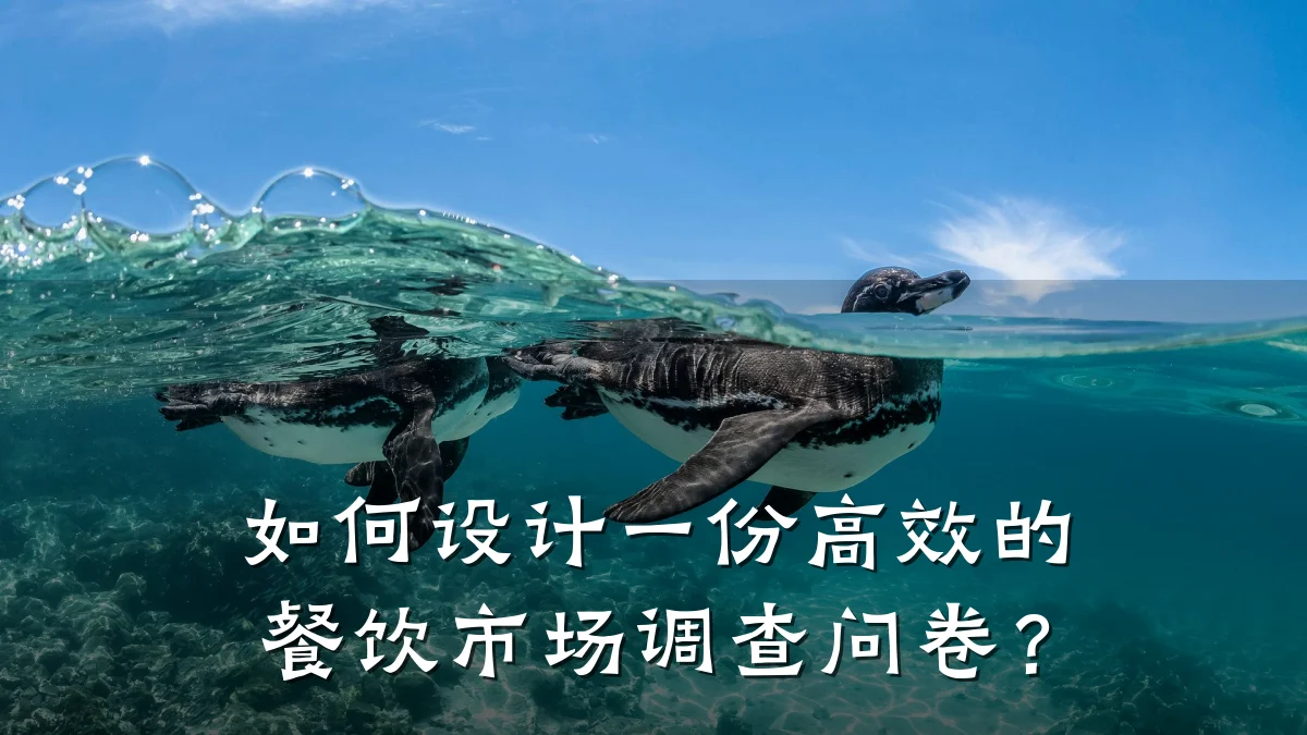 如何设计一份高效的餐饮市场调查问卷？
