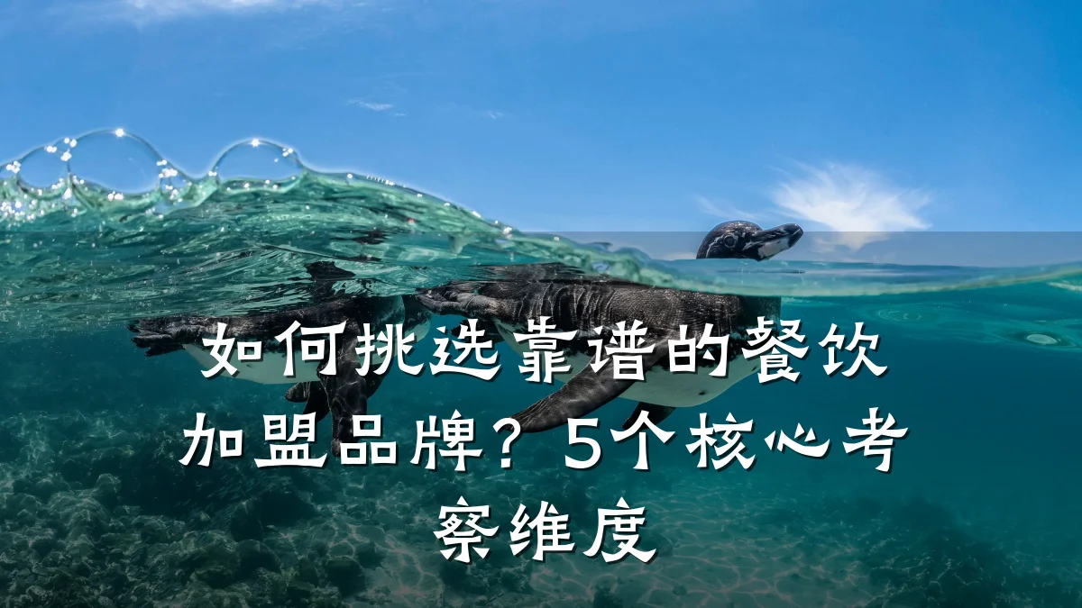 如何挑选靠谱的餐饮加盟品牌？5个核心考察维度