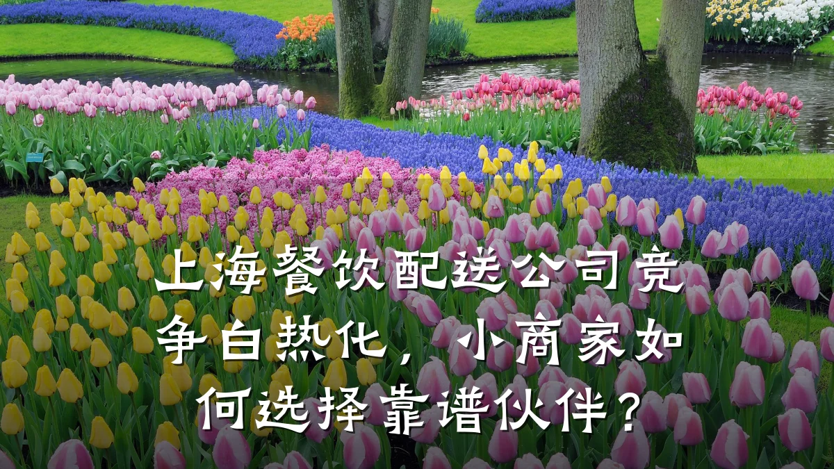 上海餐饮配送公司竞争白热化，小商家如何选择靠谱伙伴？