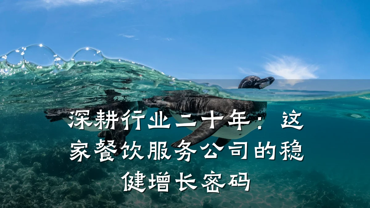 深耕行业二十年：这家餐饮服务公司的稳健增长密码