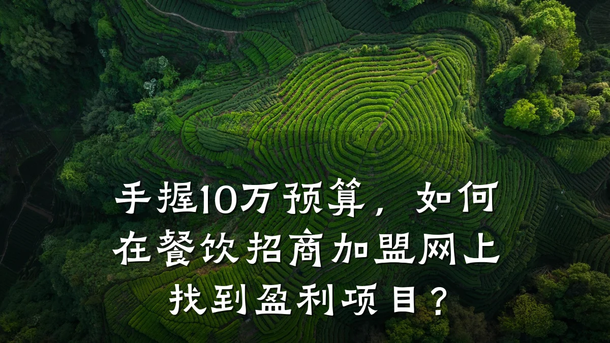 手握10万预算，如何在餐饮招商加盟网上找到盈利项目？