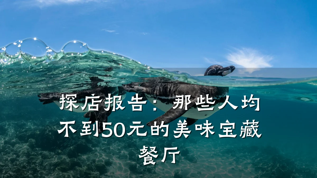 探店报告：那些人均不到50元的美味宝藏餐厅