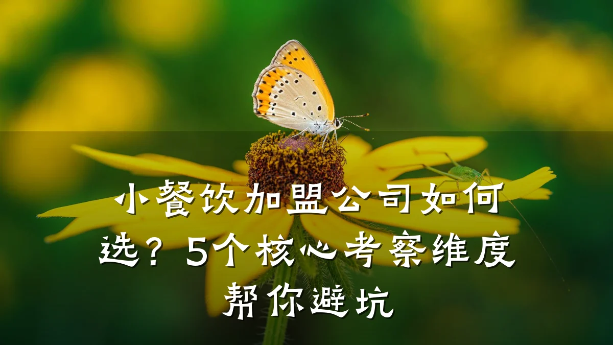 小餐饮加盟公司如何选？5个核心考察维度帮你避坑