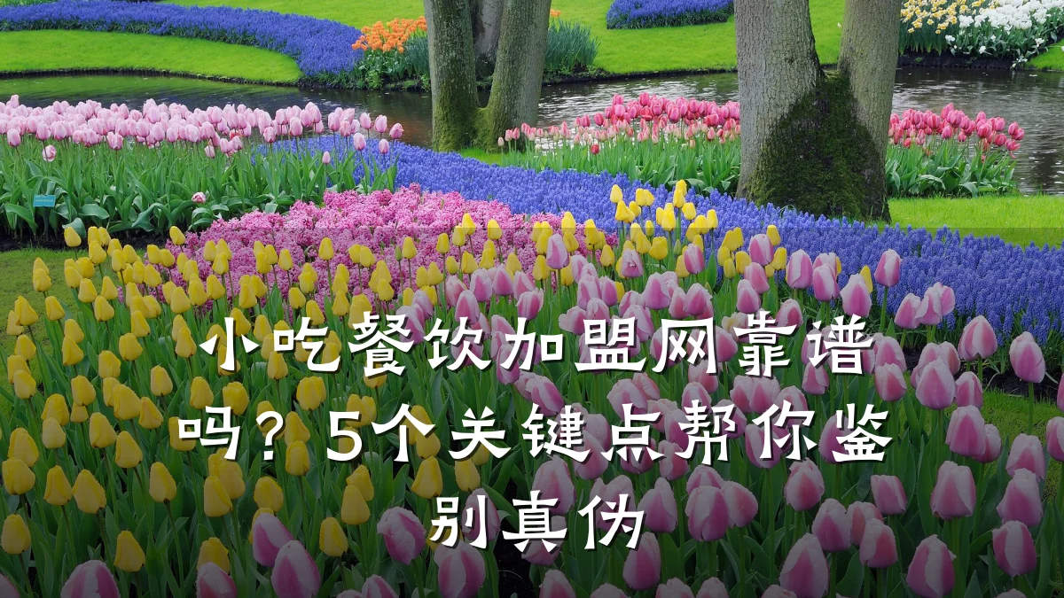 小吃餐饮加盟网靠谱吗?5个关键点帮你鉴别真伪