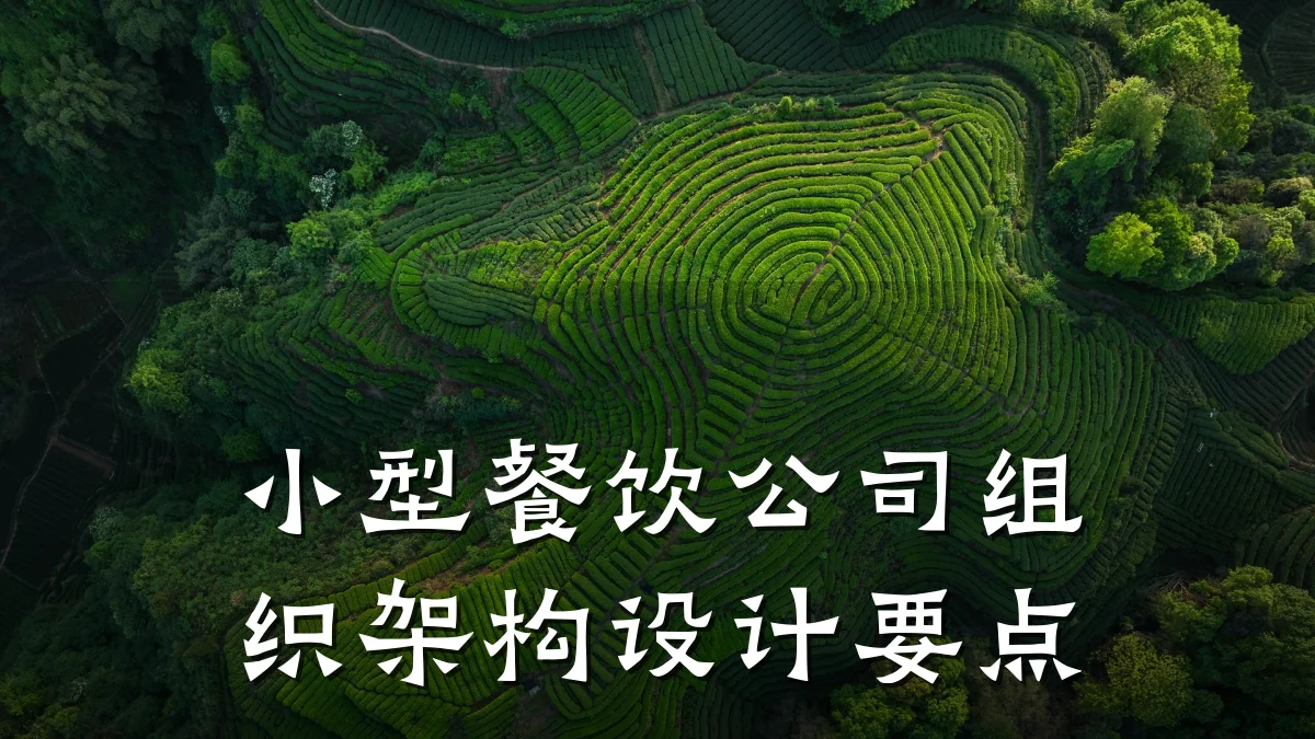 小型餐饮公司组织架构设计要点