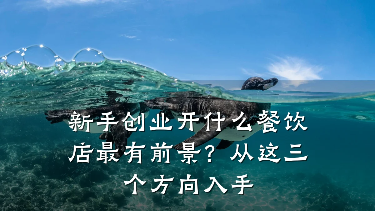 新手创业开什么餐饮店最有前景？从这三个方向入手