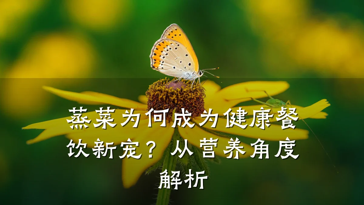 蒸菜为何成为健康餐饮新宠？从营养角度解析