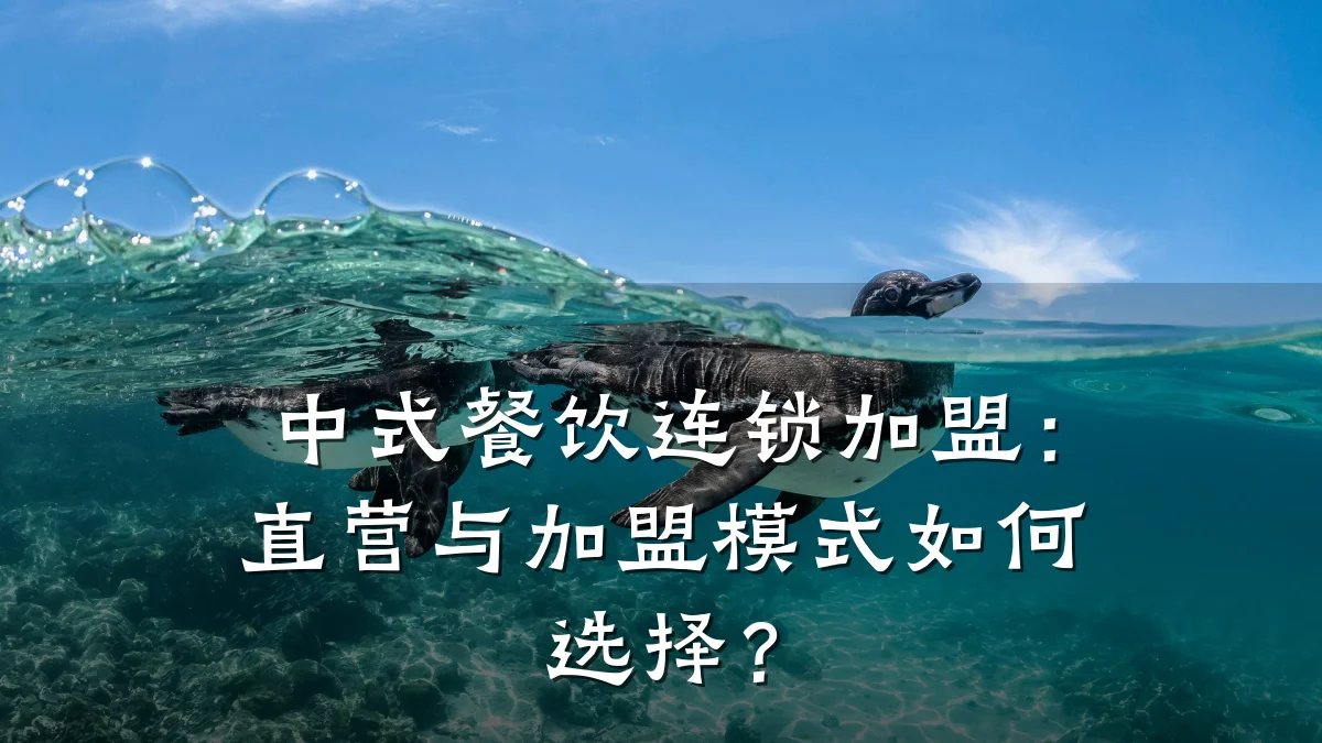 中式餐饮连锁加盟：直营与加盟模式如何选择？