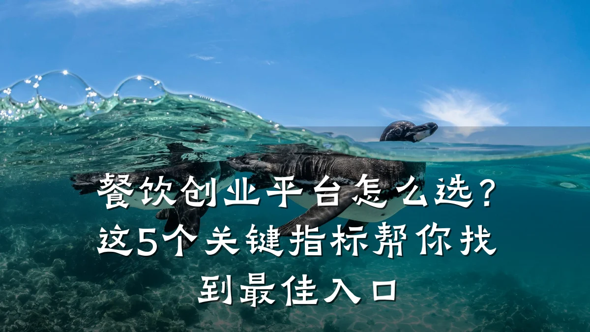 餐饮创业平台怎么选？这5个关键指标帮你找到最佳入口