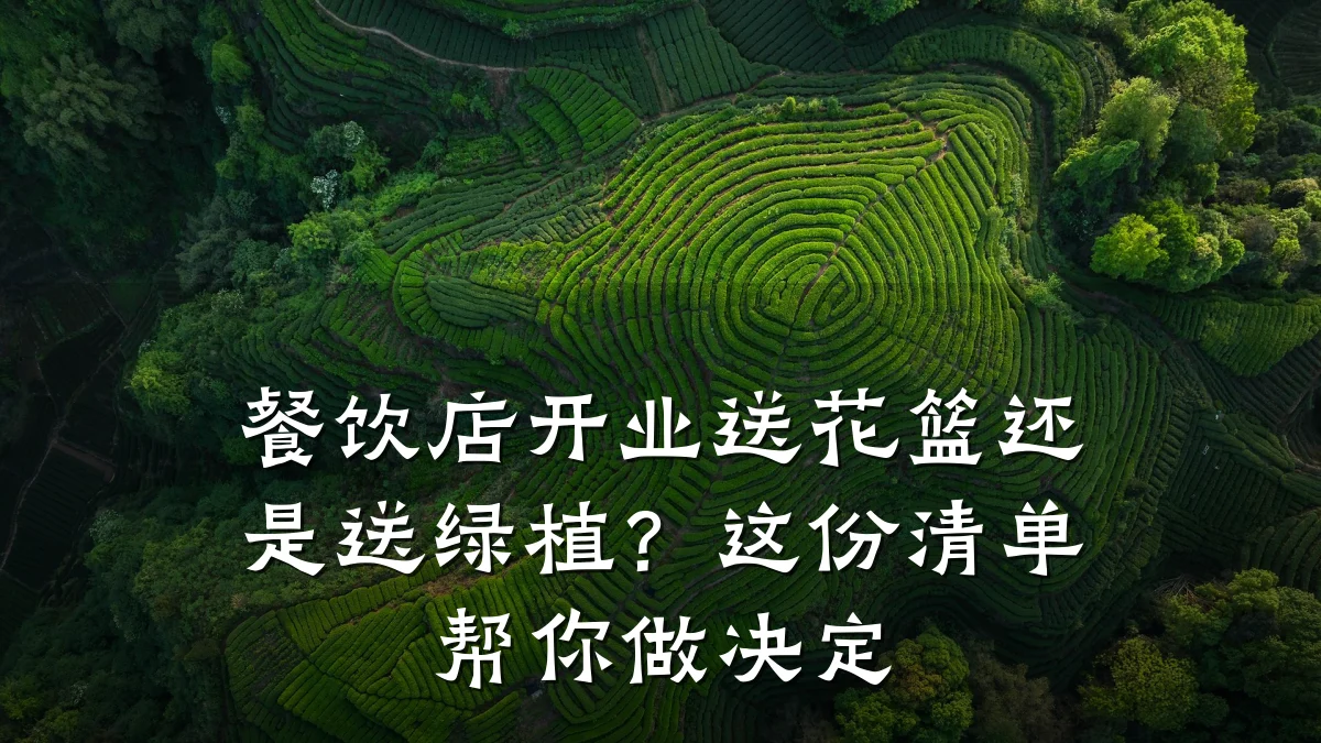 餐饮店开业送花篮还是送绿植？这份清单帮你做决定