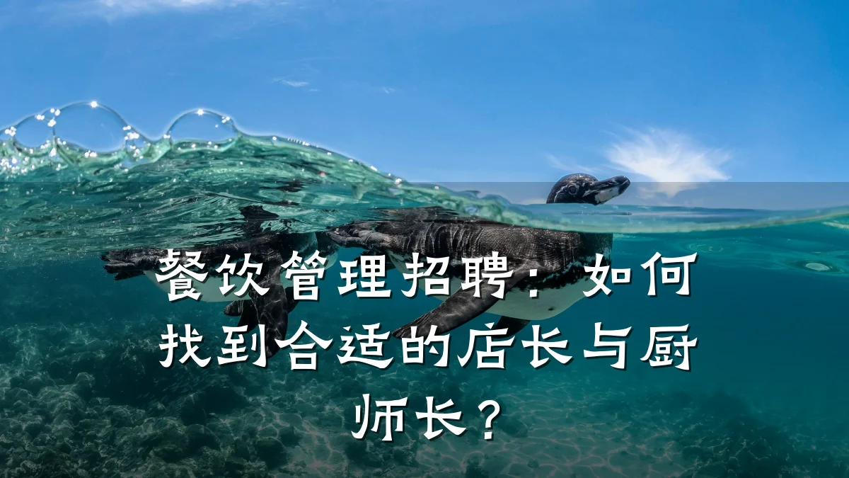 餐饮管理招聘：如何找到合适的店长与厨师长？