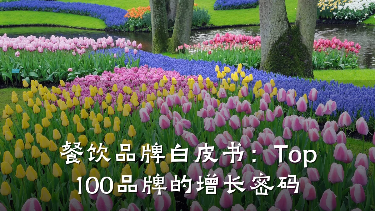 餐饮品牌白皮书：Top100品牌的增长密码