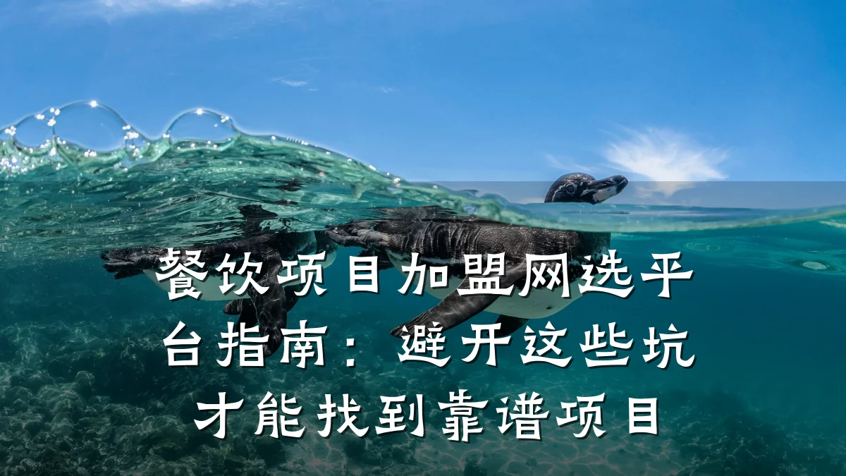餐饮项目加盟网选平台指南：避开这些坑才能找到靠谱项目