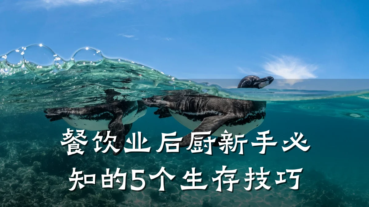 餐饮业后厨新手必知的5个生存技巧