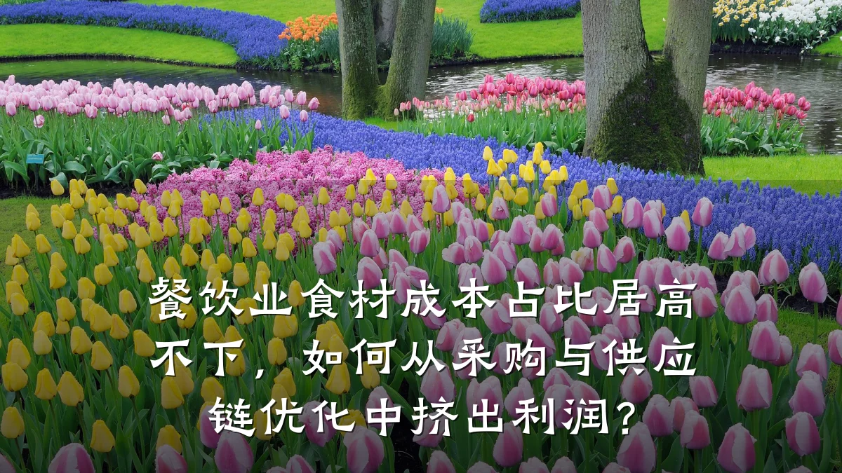 餐饮业食材成本占比居高不下，如何从采购与供应链优化中挤出利润？