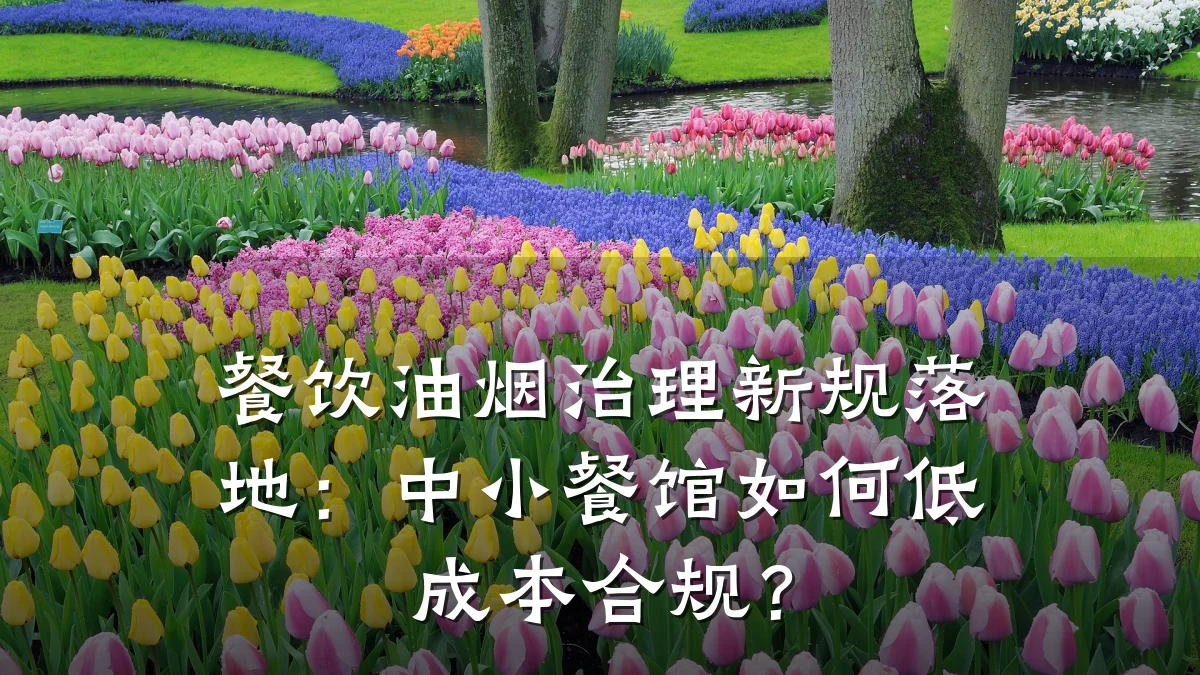 餐饮油烟治理新规落地:中小餐馆如何低成本合规?