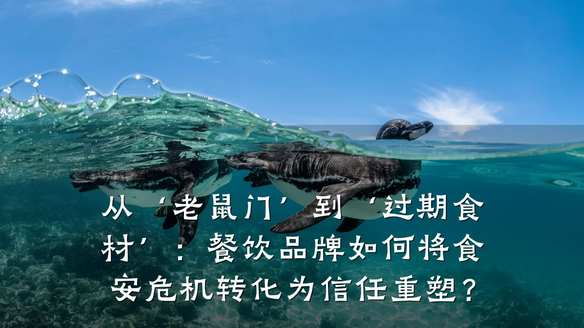 从‘老鼠门’到‘过期食材’：餐饮品牌如何将食安危机转化为信任重塑？