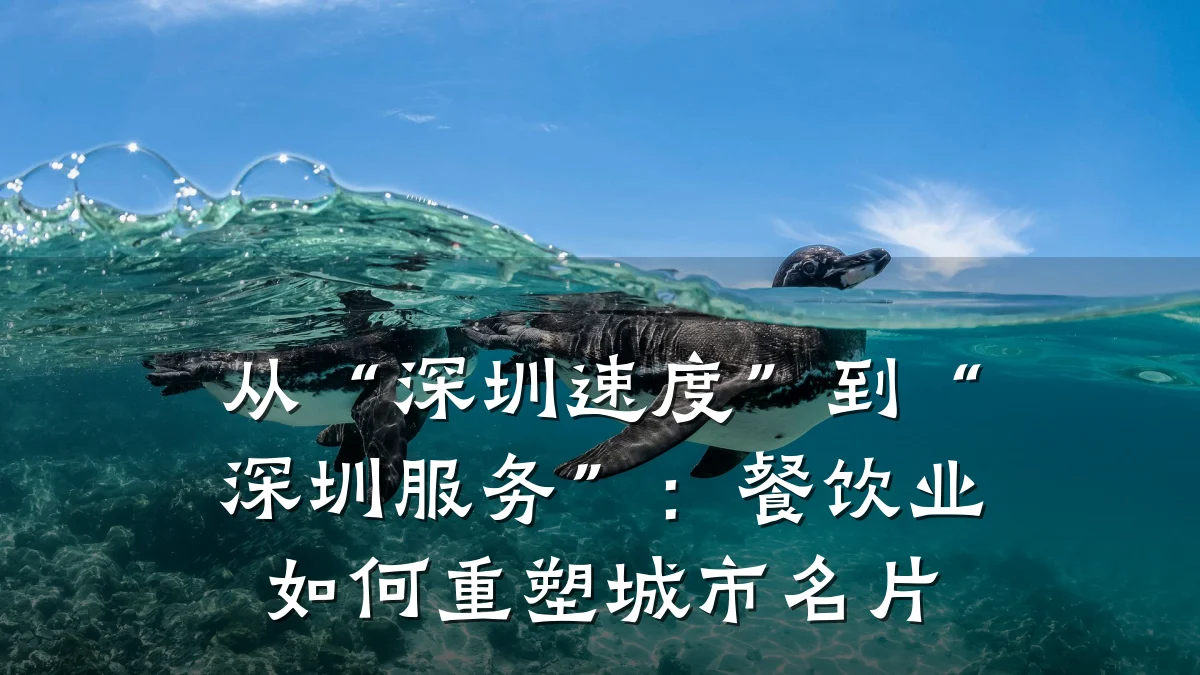 从“深圳速度”到“深圳服务”：餐饮业如何重塑城市名片