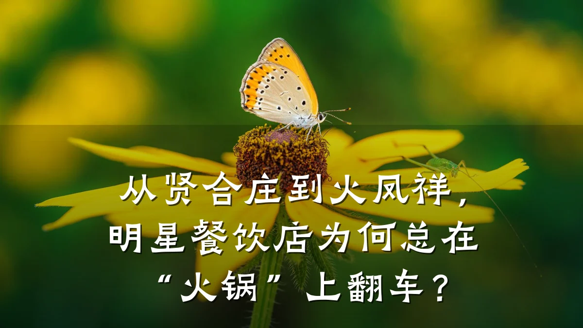 从贤合庄到火凤祥，明星餐饮店为何总在“火锅”上翻车？