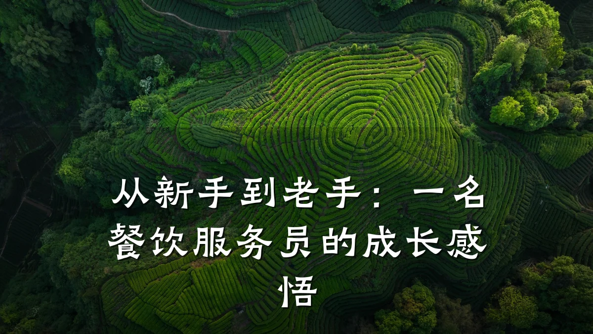 从新手到老手：一名餐饮服务员的成长感悟