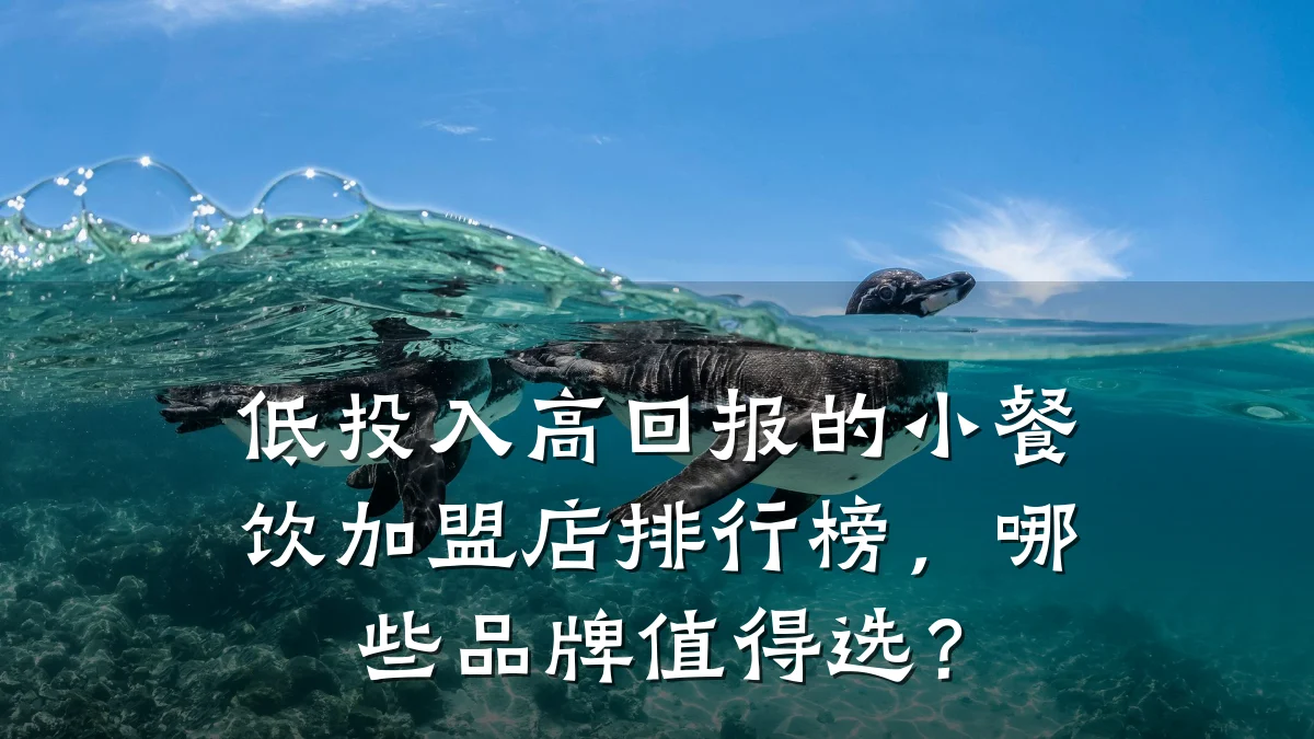 低投入高回报的小餐饮加盟店排行榜，哪些品牌值得选？