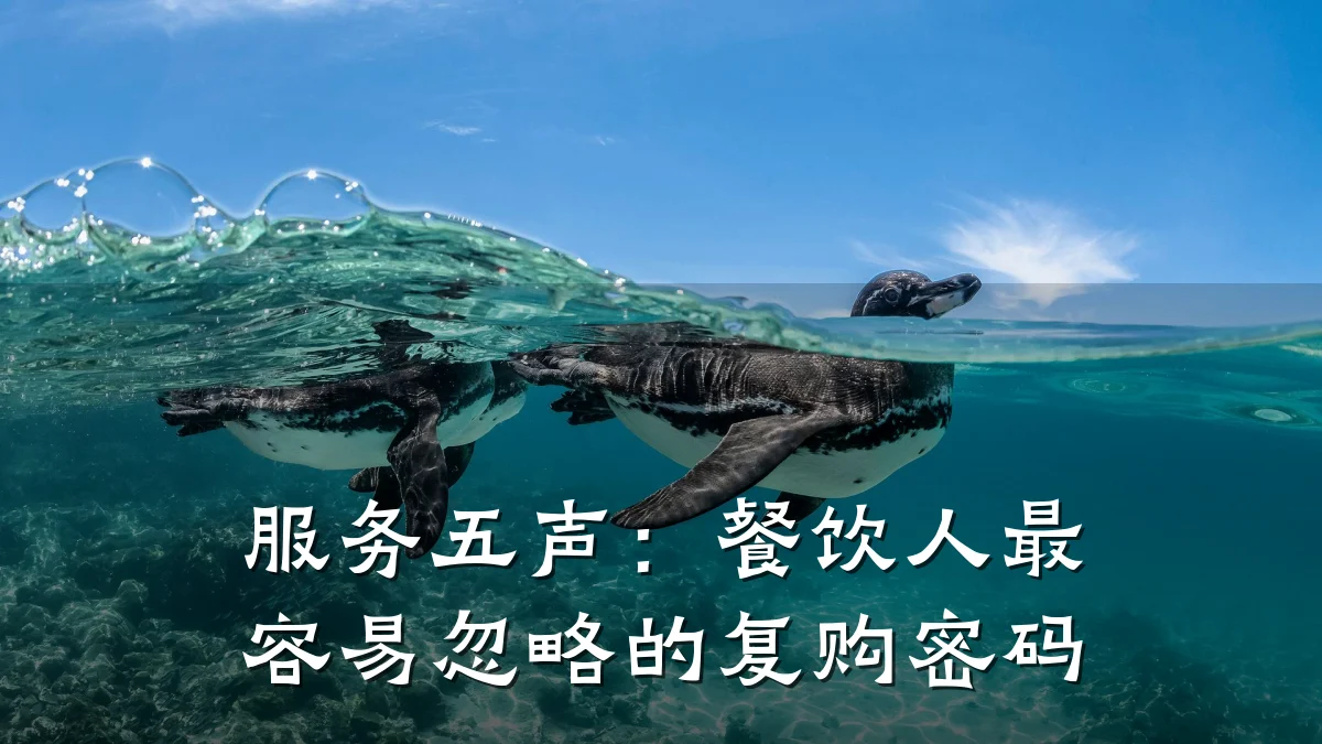 服务五声：餐饮人最容易忽略的复购密码