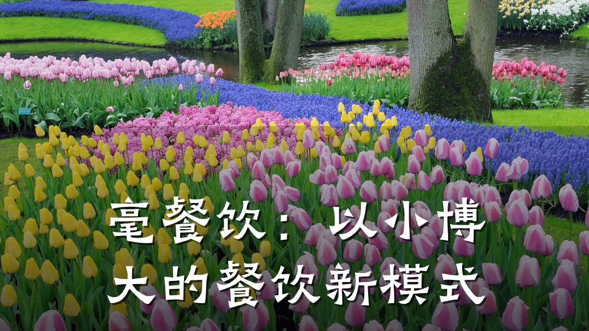 毫餐饮：以小博大的餐饮新模式
