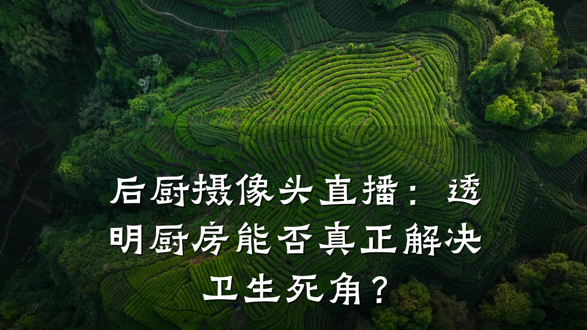 后厨摄像头直播：透明厨房能否真正解决卫生死角？