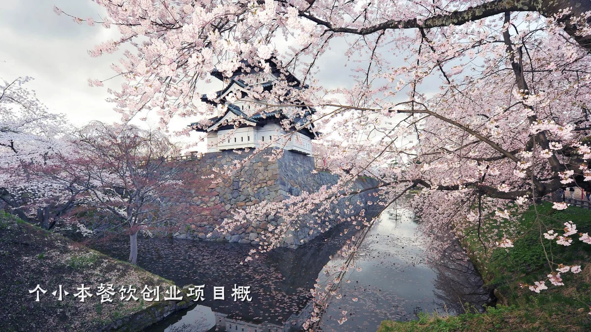 个小本餐饮创业项目概