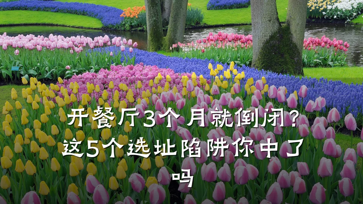 开餐厅3个月就倒闭？这5个选址陷阱你中了吗