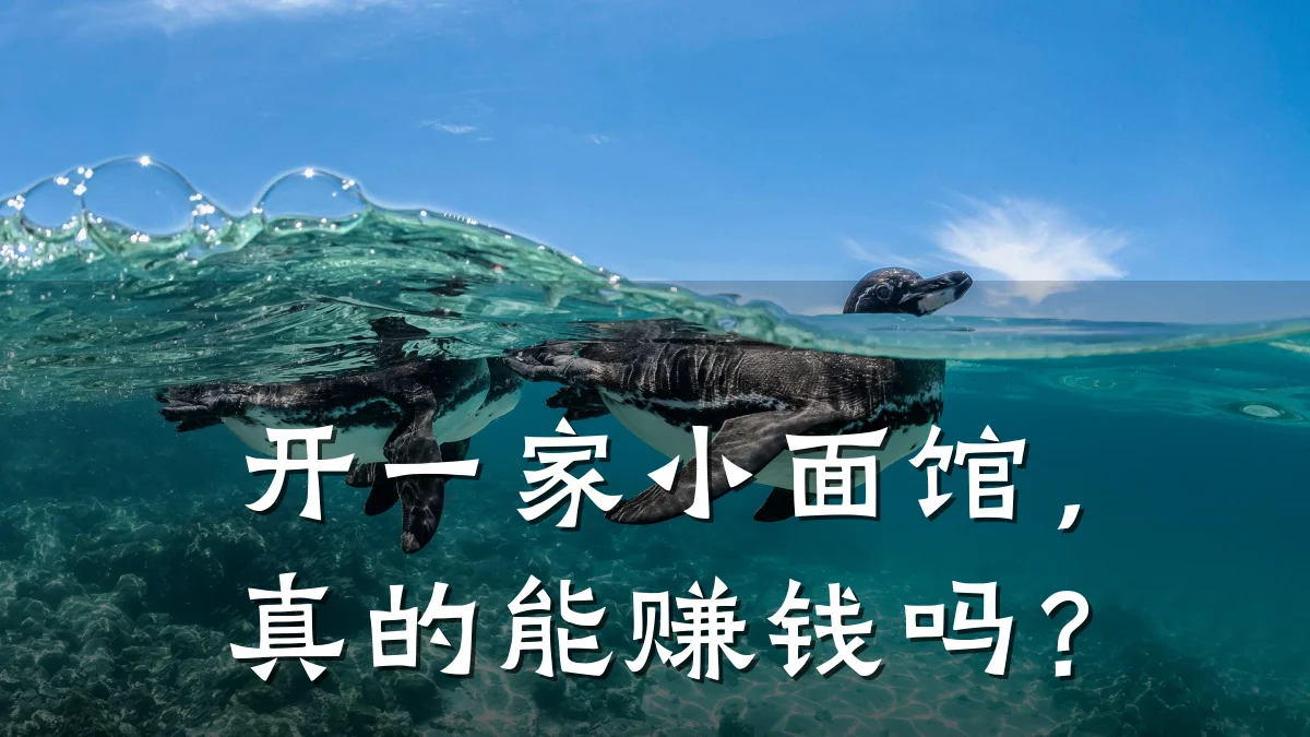 开一家小面馆，真的能赚钱吗？