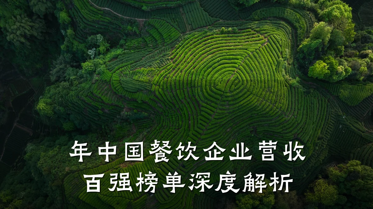 年中国餐饮企业营收百强榜单深度解析