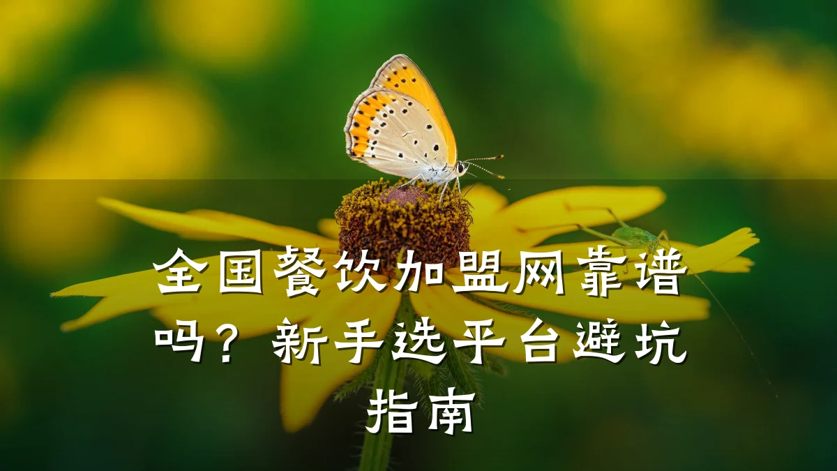 全国餐饮加盟网靠谱吗?新手选平台避坑指南