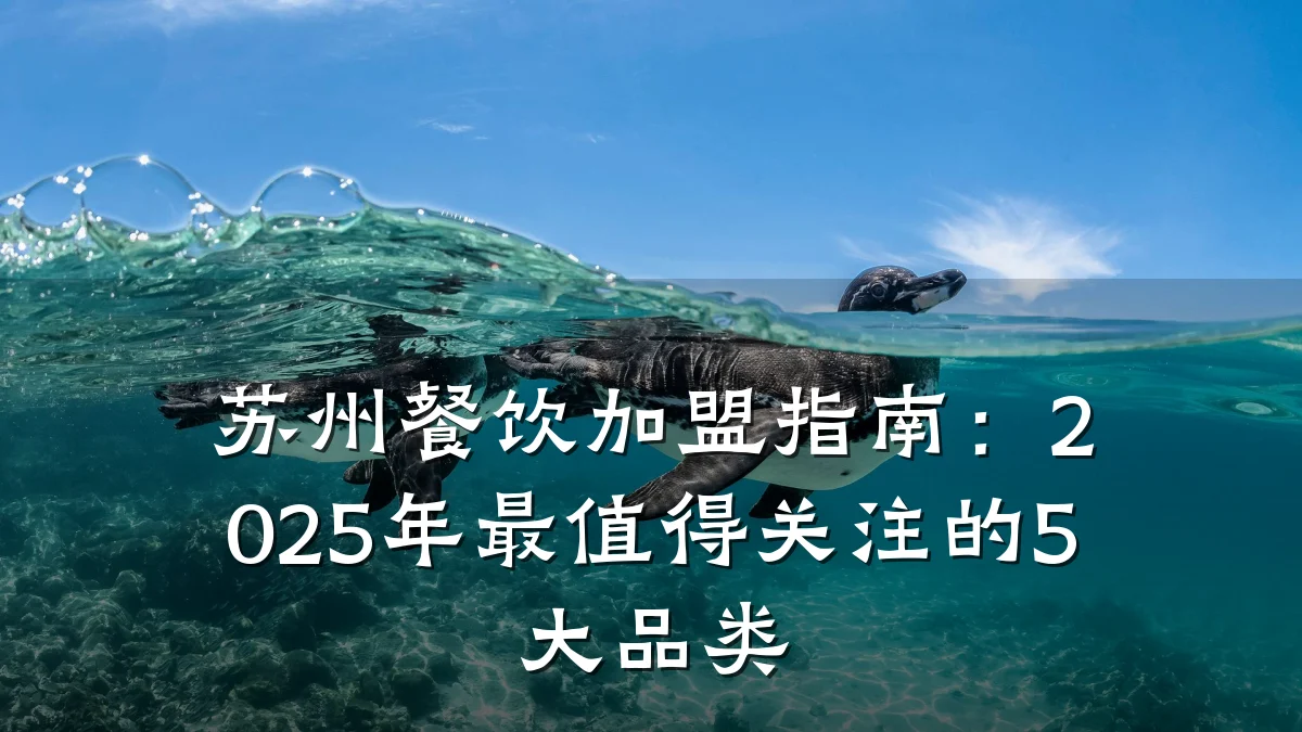 苏州餐饮加盟指南：2025年最值得关注的5大品类