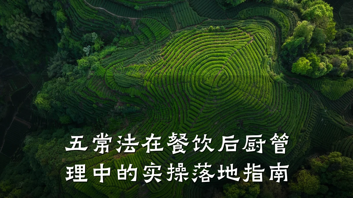 五常法在餐饮后厨管理中的实操落地指南